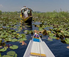 DELIGHT KASHMIR